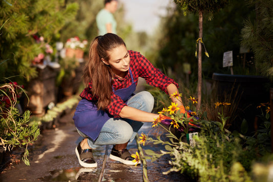 10 Tips to Beautify Your Garden