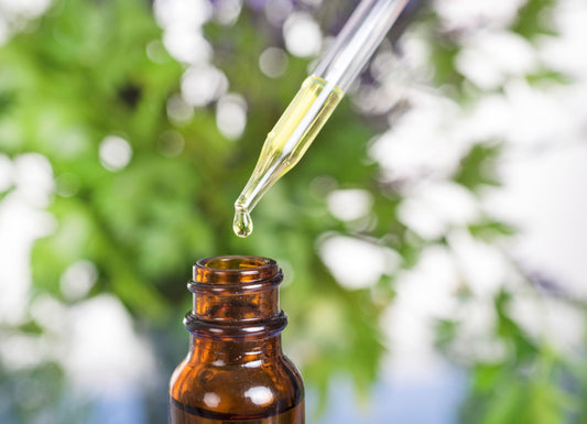 Make Your Own Tinctures Using Fresh Herbs 