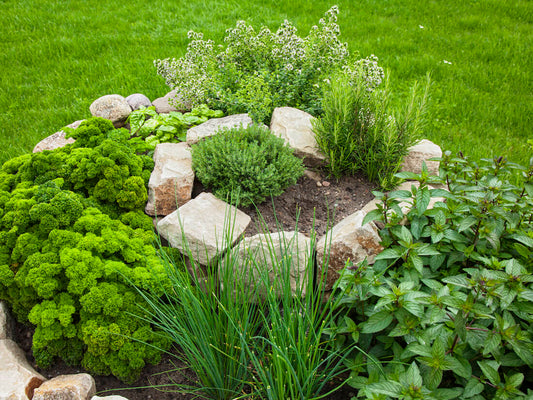 Herb Spiral Gardening: Adding A Twist To Your Growing Space