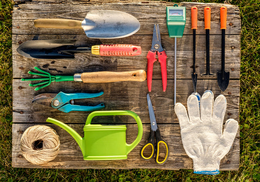 Best Tools for Growing a Bonsai