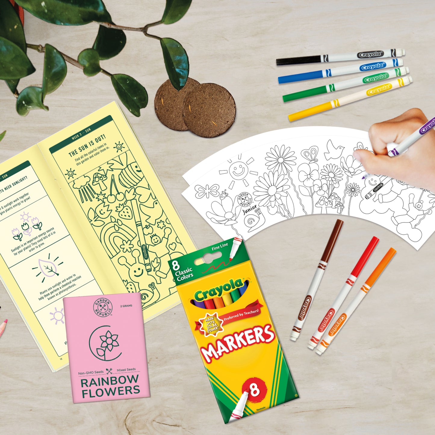 Garden Republic Jnr Crayola Color & Plant Starter Kit