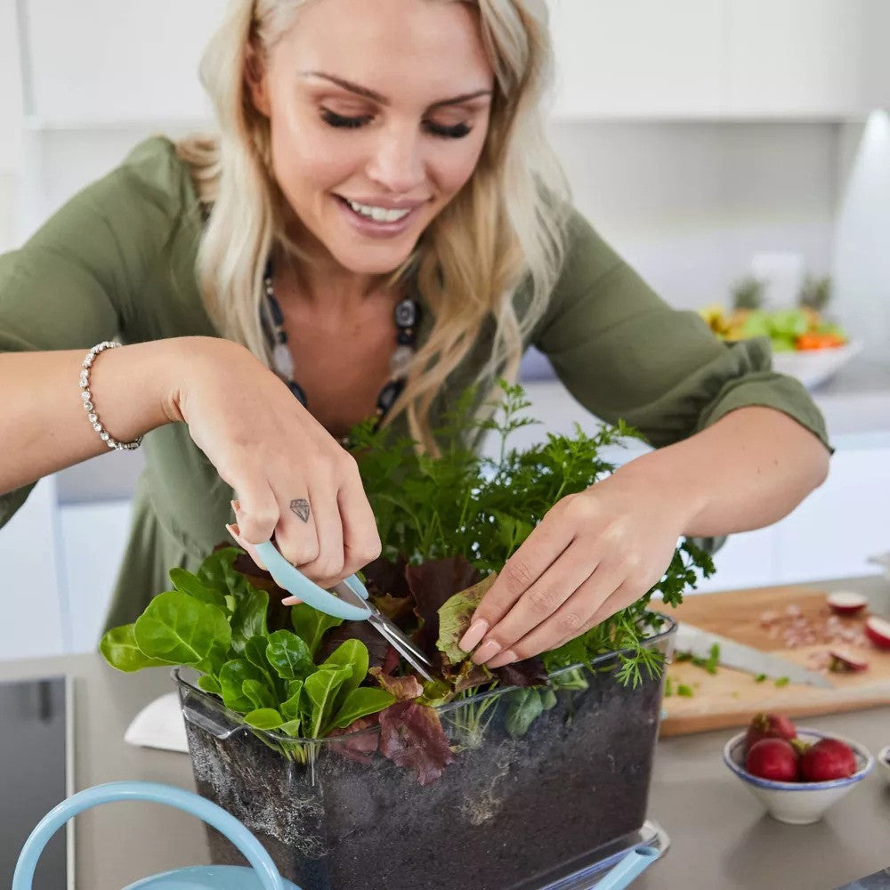 Garden Republic Herb Seed Box