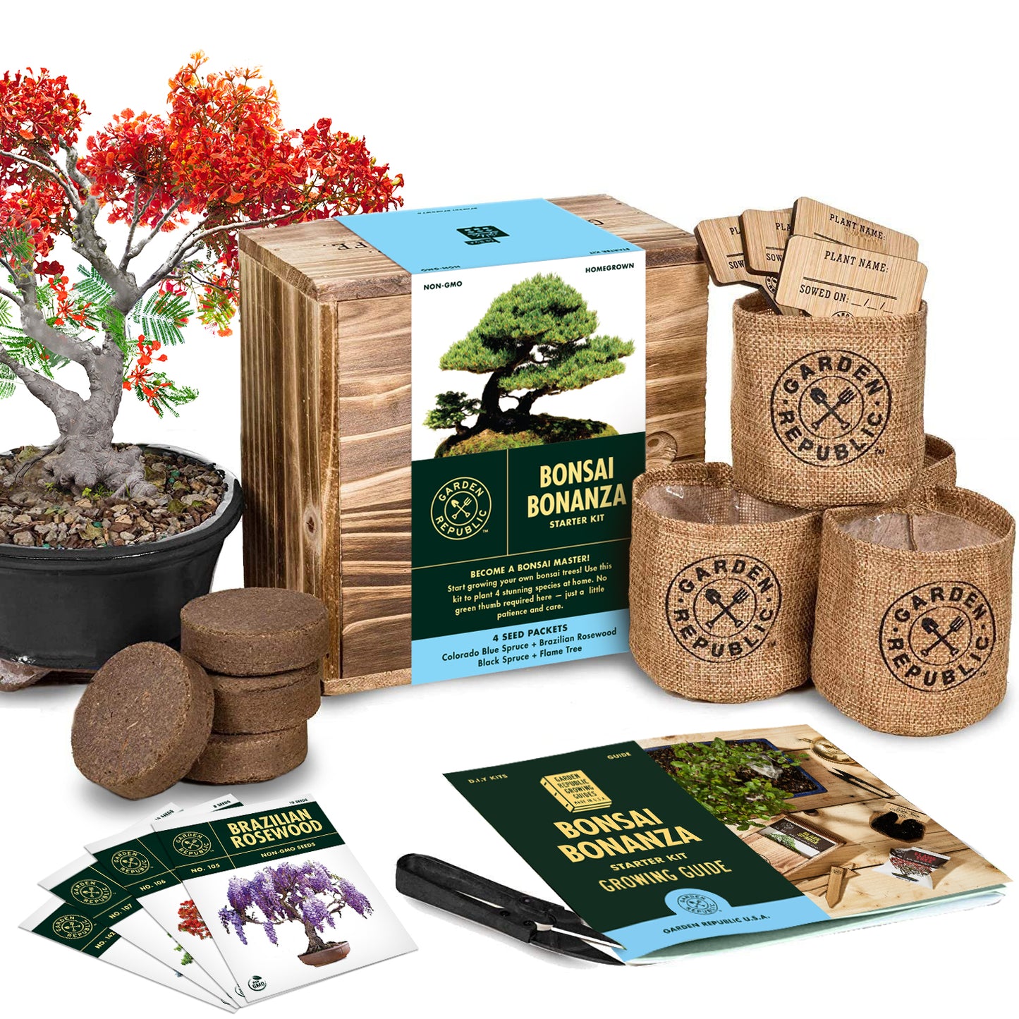 Germination Gift Set: Fun & Unique Plant Growing Experience – Ed's Plant  Shop