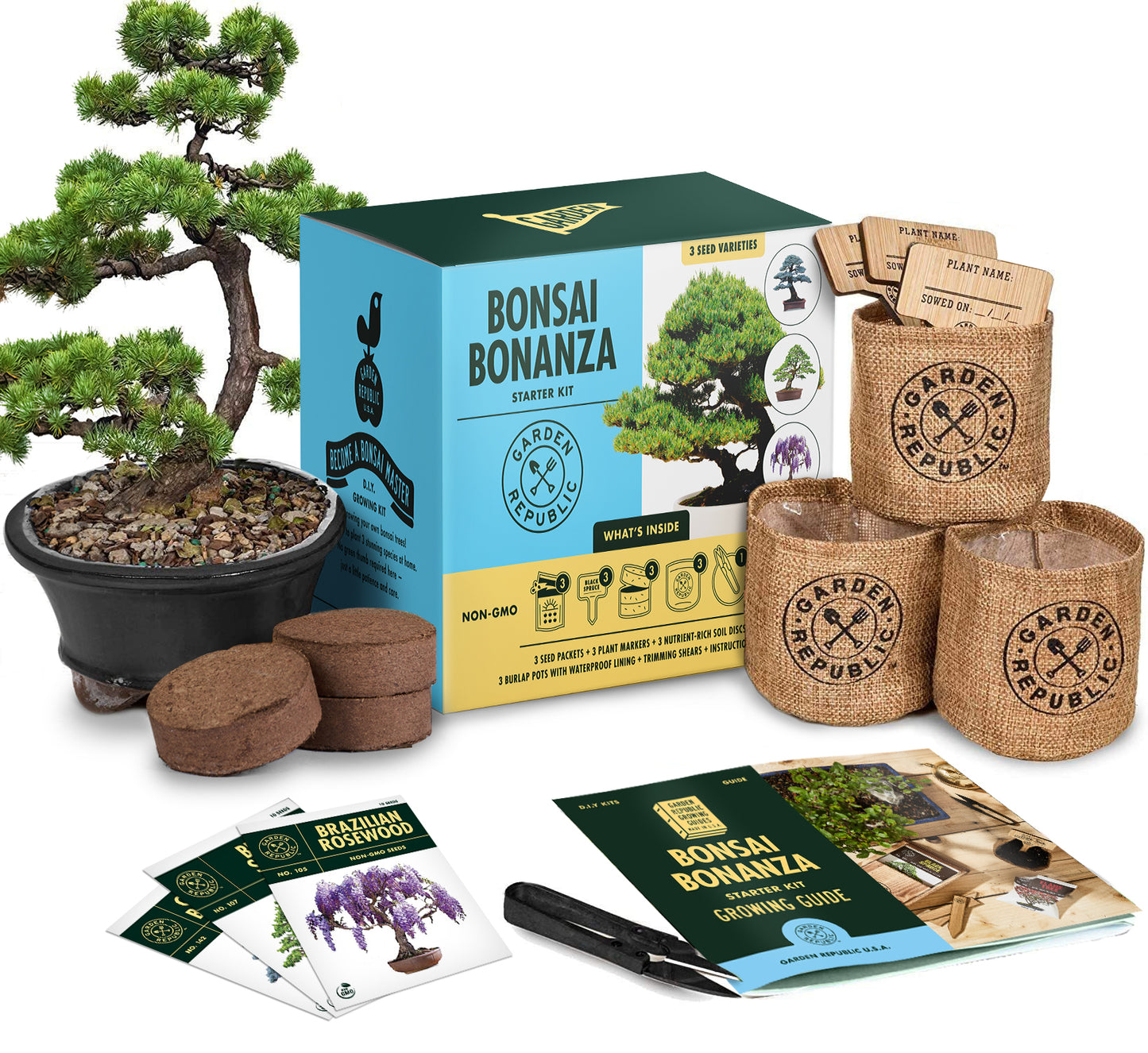 Grow Your Own Bonsai Tree Kit, 5 different varieties - Grow Your