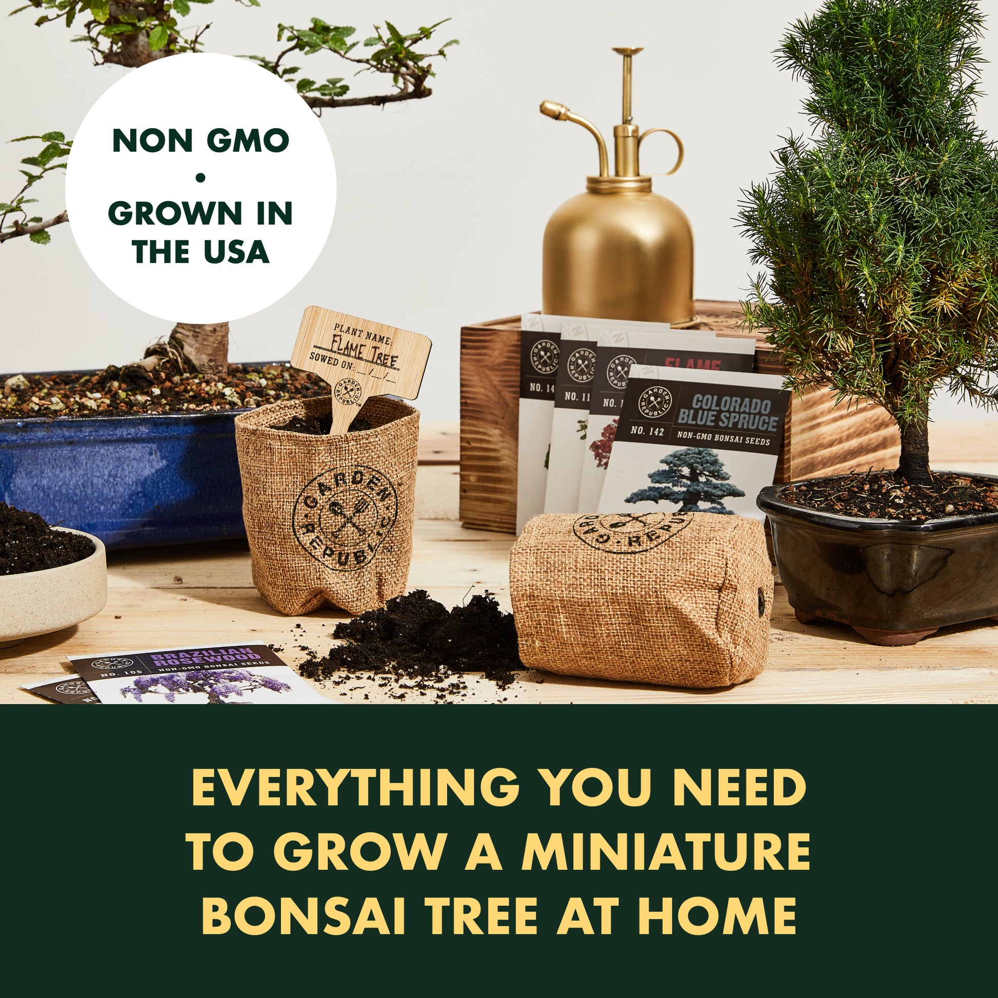 Is Selling a Bonsai Tree Starter Kit for $25 - Bestselling Bonsai  Tree Starter Kit