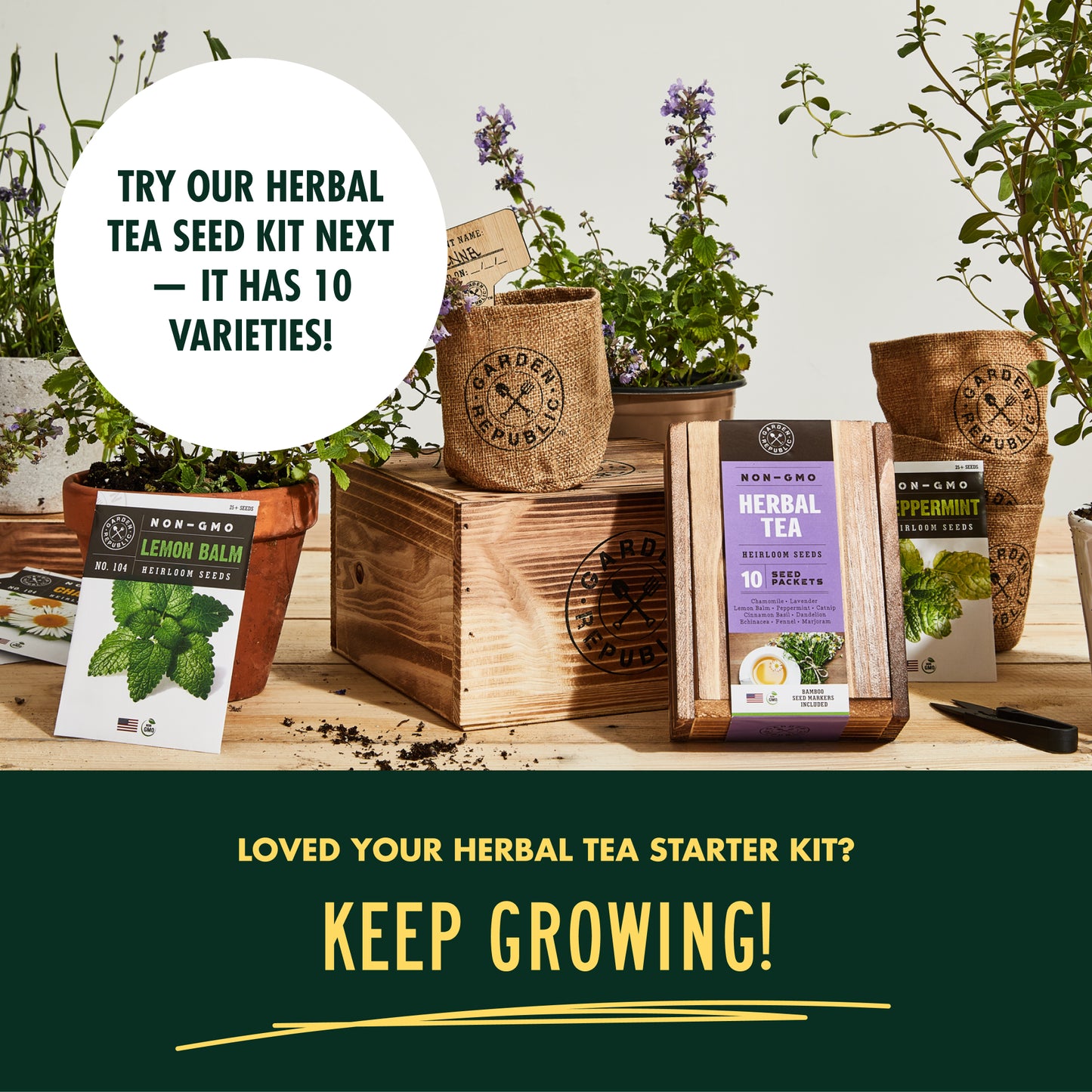 DIY Tea Herb Garden Kit - Grow and Make